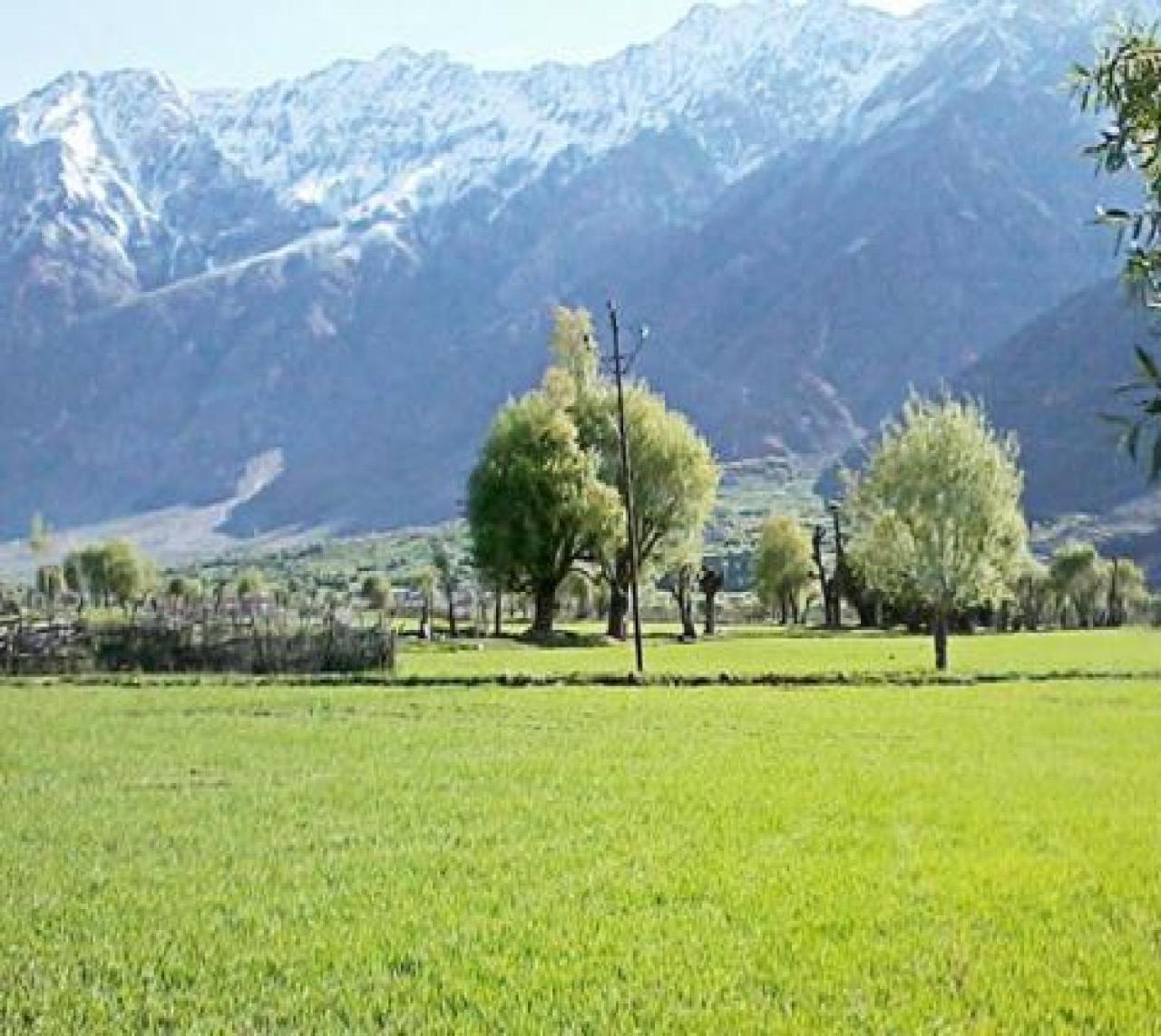 Hotel Suru View Kargil Exterior photo